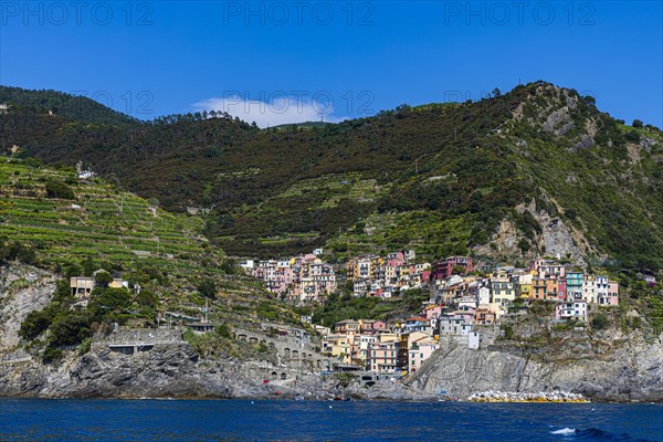 The village of Manarola with its nested pastel-coloured houses built into the hillside