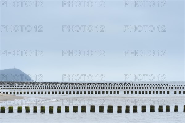 Breakwater in the sea