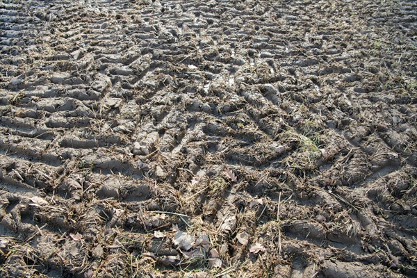 Soil compaction in the field