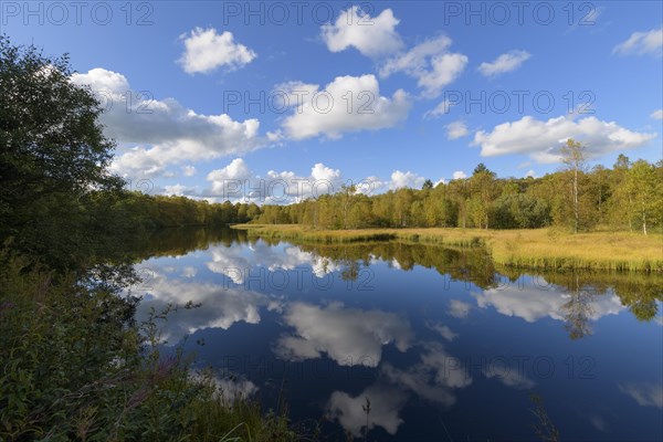 Lake Moorweiher