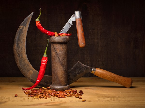Food photography