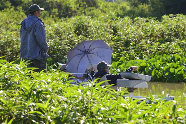 Tourists in a motorboat watching wildlife