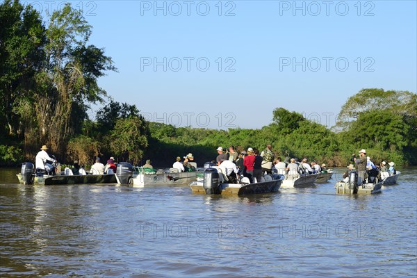 Tourists in motorboats watching wildlife