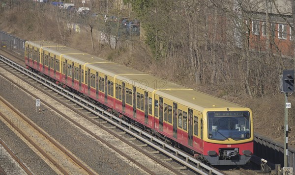 Ringbahn S 41