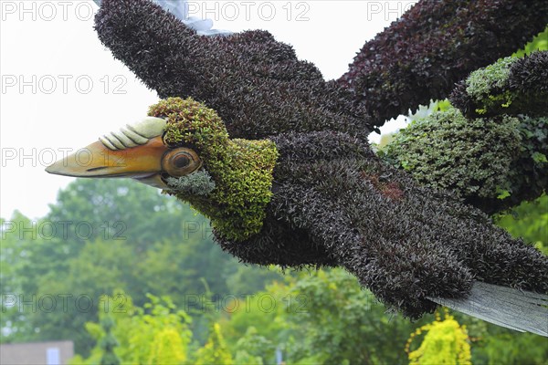 Plant sculpture of birds