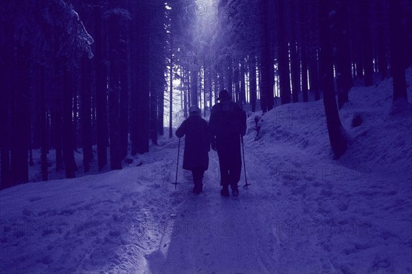 Walk to the Maieralm
