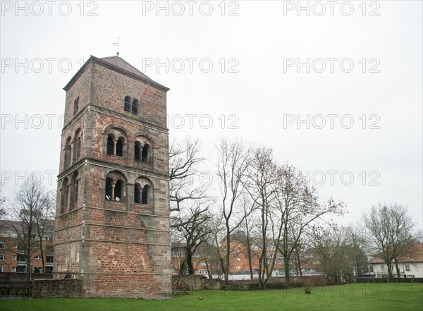 Katharine Tower