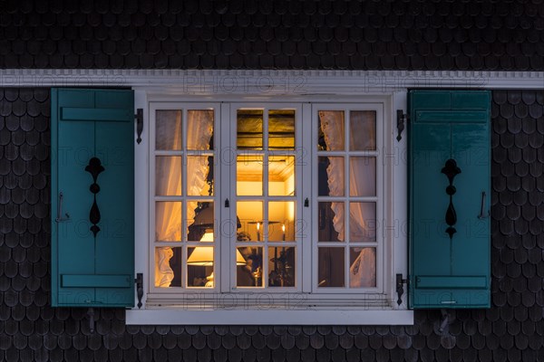 Window