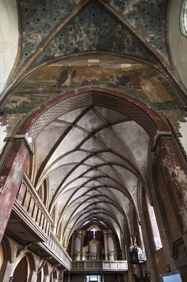 Cross vault with organ loft