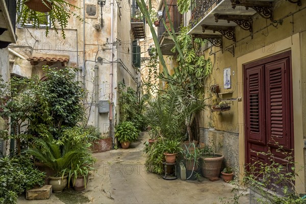Old Town Alley