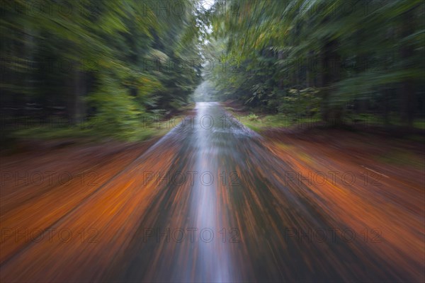 Car driving on autumnal wet road through the forest at dawn