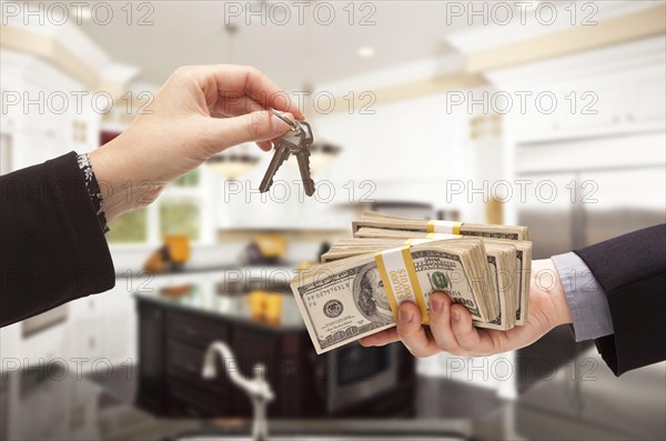Beautiful custom kitchen interior in a new house