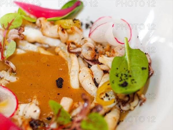 Macro close up of pan cooked grilled flambe atlantic squid plated with potato rich sauce cream reduction