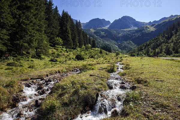 Wildental with Wildenbach