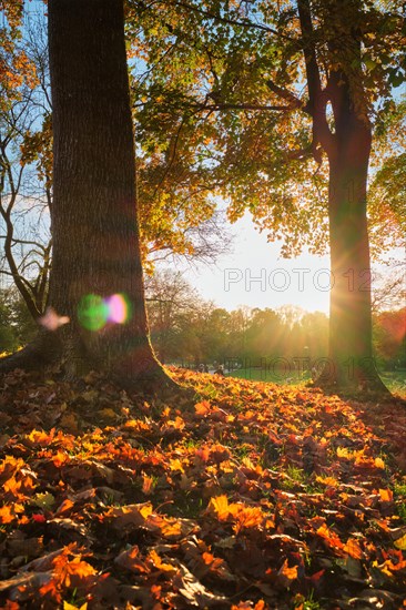 Golden autumn fall October in famous Munich relax place