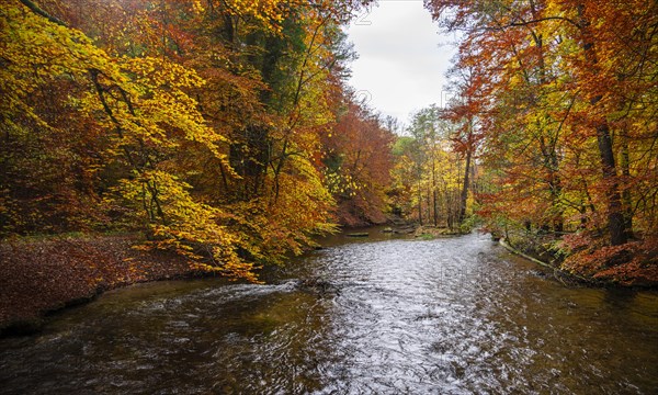 River Wuerm
