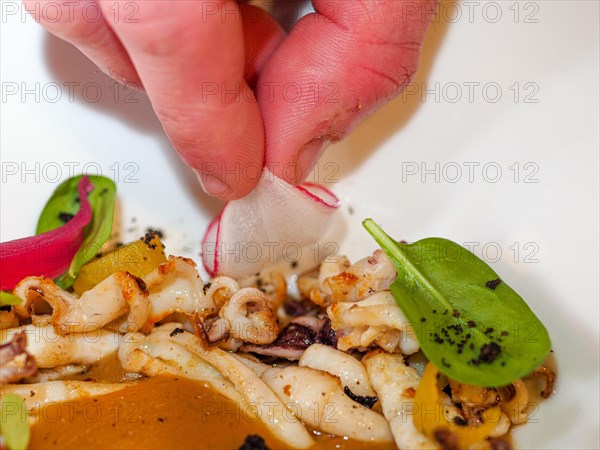 Chef hand close up plating pan cooked flambe atlantic squid with potato rich sauce cream reduction