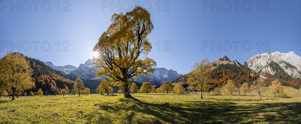 Panorama