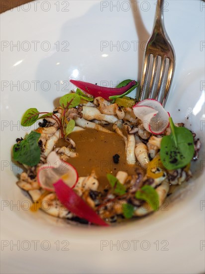 Macro close up of pan cooked grilled flambe atlantic squid iplated with potato rich sauce cream reduction