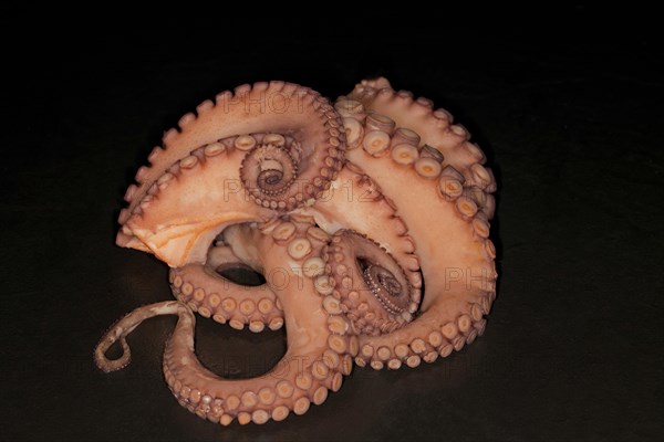 Cooked mexican four-eyed octopus