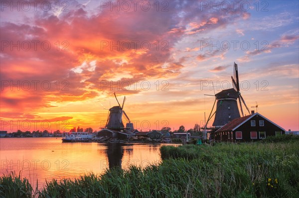 Netherlands rural scene