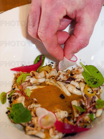 Chef hand close up plating pan cooked flambe atlantic squid with potato rich sauce cream reduction