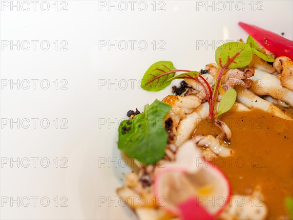 Macro close up of pan cooked grilled flambe atlantic squid plated with potato rich sauce cream reduction