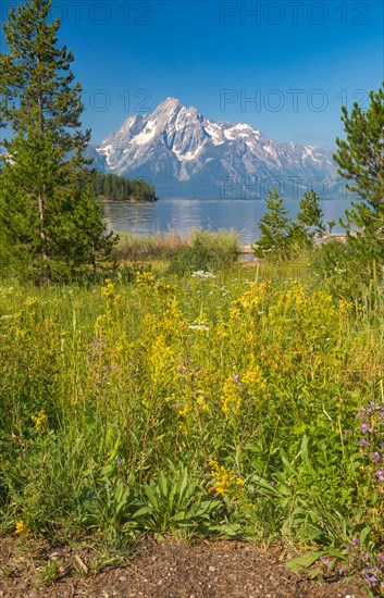 Grand teton national park mountain range in wyoming