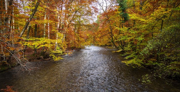 River Wuerm