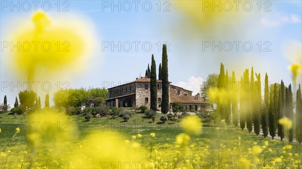 Poggio Covili estate