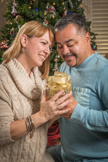 Happy young mixed-race couple with present near christmas tree