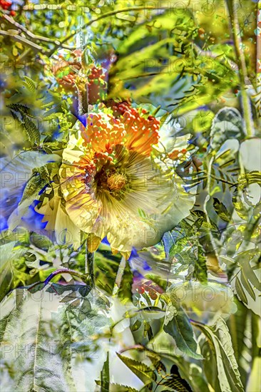 Flowers creative