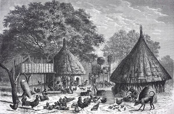 Village of the Diour tribe in present-day Chad