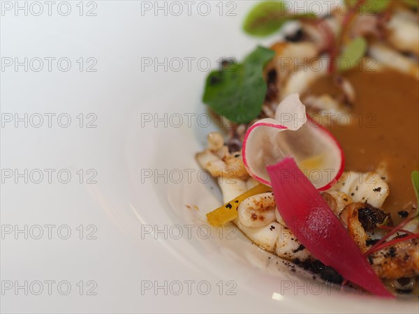 Macro close up of pan cooked grilled flambe atlantic squid plated with potato rich sauce cream reduction