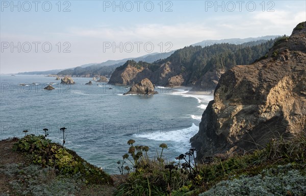 Coastal landscape with rugged rocks