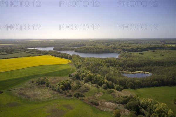 Several nature reserves and a biosphere reserve define the green belt at Lake Lankow on the state border between Schleswig-Holstein and Mecklenburg-Western Pomerania in the area of Northwest Mecklenbu...