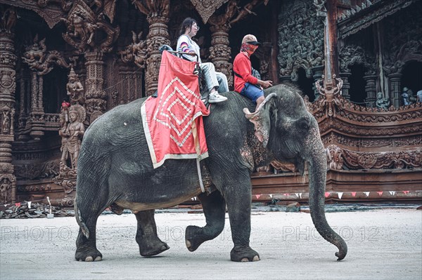 Elephant