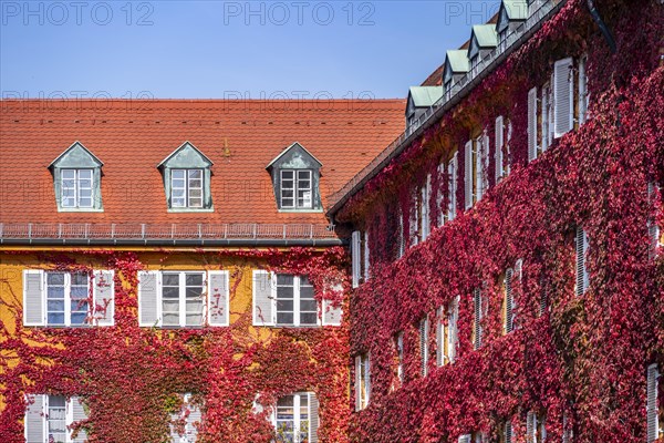 Yellow apartment buildings