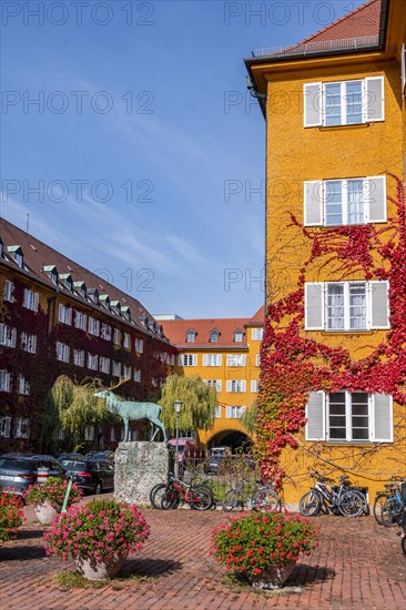 Yellow apartment buildings