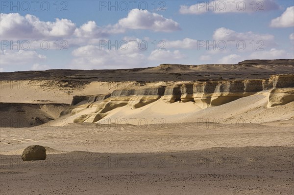 Fossil-bearing strata