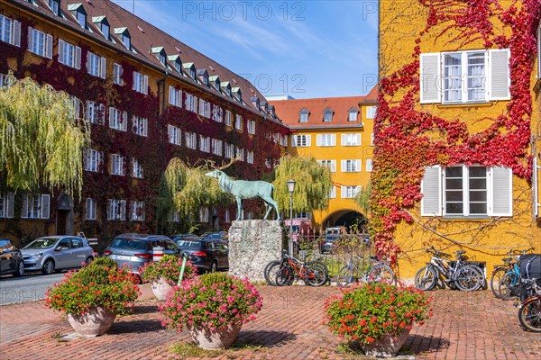Yellow apartment buildings