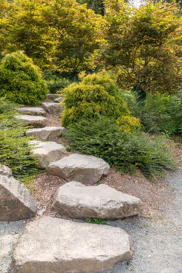Beautiful garden setting with stepping stones