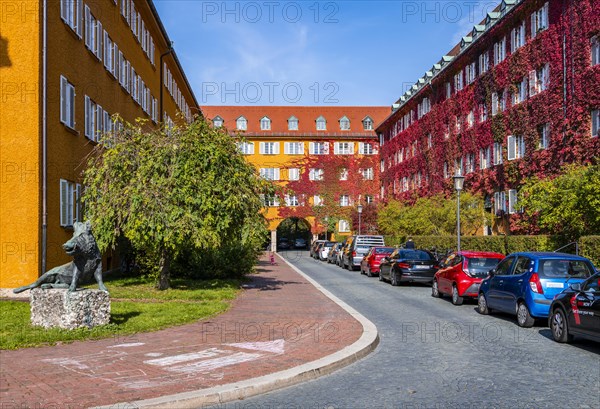 Yellow apartment buildings
