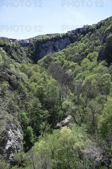 Zipline over the Pazin Gorge. Pazin