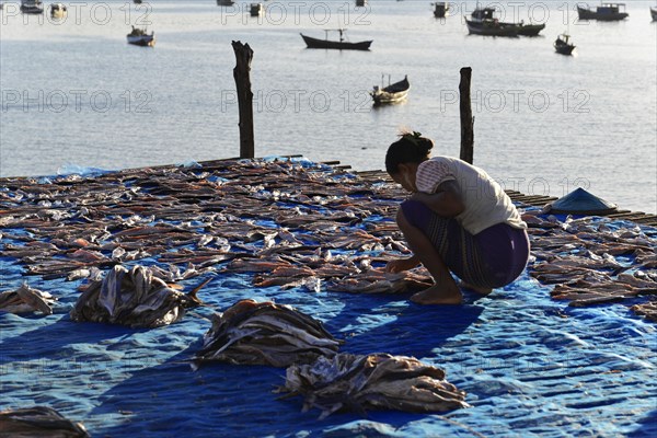 (Pisces) Ngapali Beach, Thandwe, Burma, Burma, Myanmar, Asia