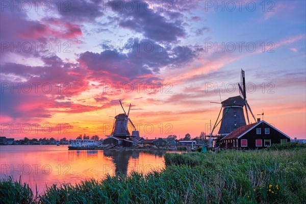 Netherlands rural scene