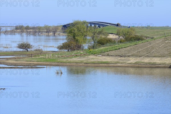 Bridge of the Ruta Nacional 174 on the Rio Parana