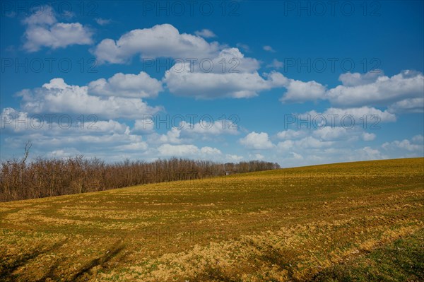 Am Uebergang eines Feldes zu einem benachbarten Wald ist ein Hochsitz eines Jaegers zu erkennen. Die aufgelockerten Wolken lassen die Sonne auf den ausgetrockneten Boden scheinen