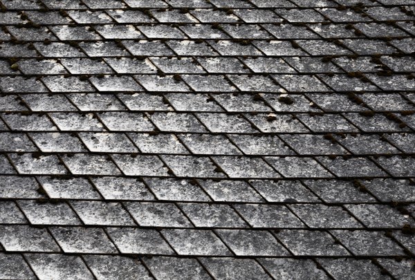 Old mossy and weathered house roof
