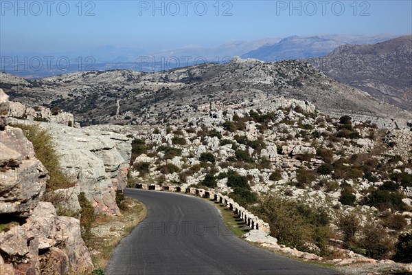 Road in El Torca National Park